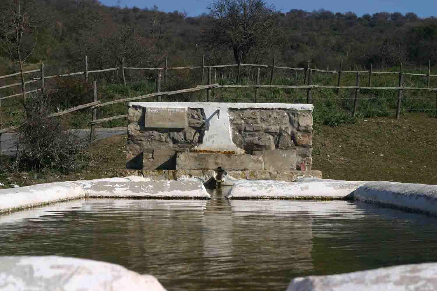 Fontanili del Lazio